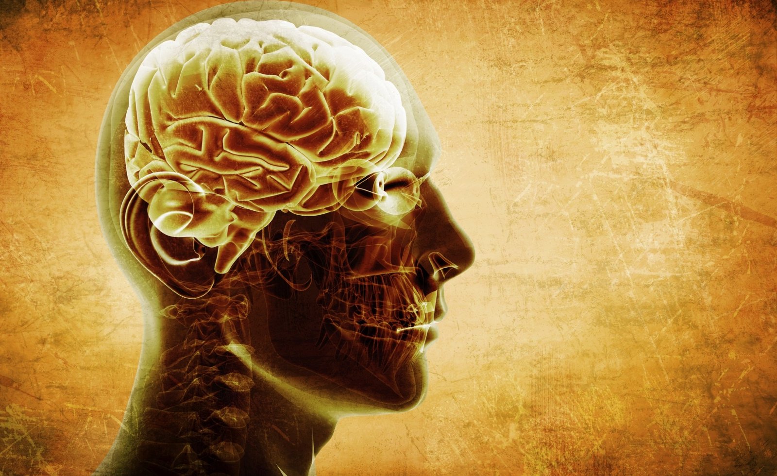 Alzheimer ve Demans